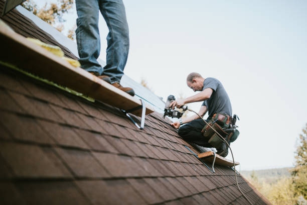 Residential Roof Replacement in Red Bay, AL